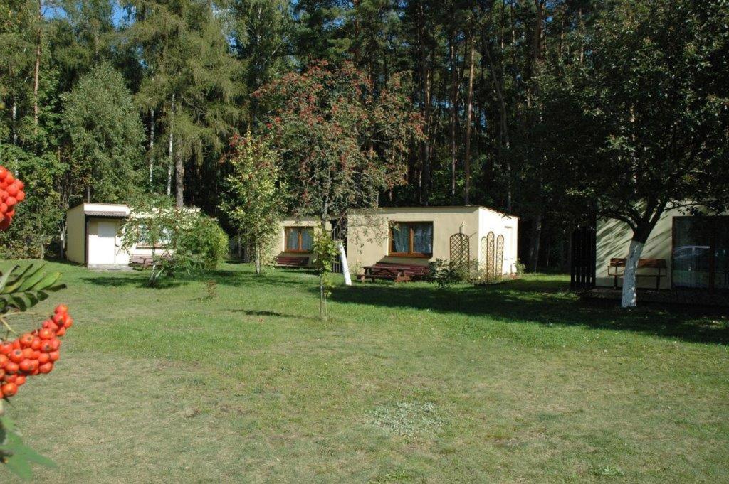 Ow Mikomania Charzykowy Esterno foto